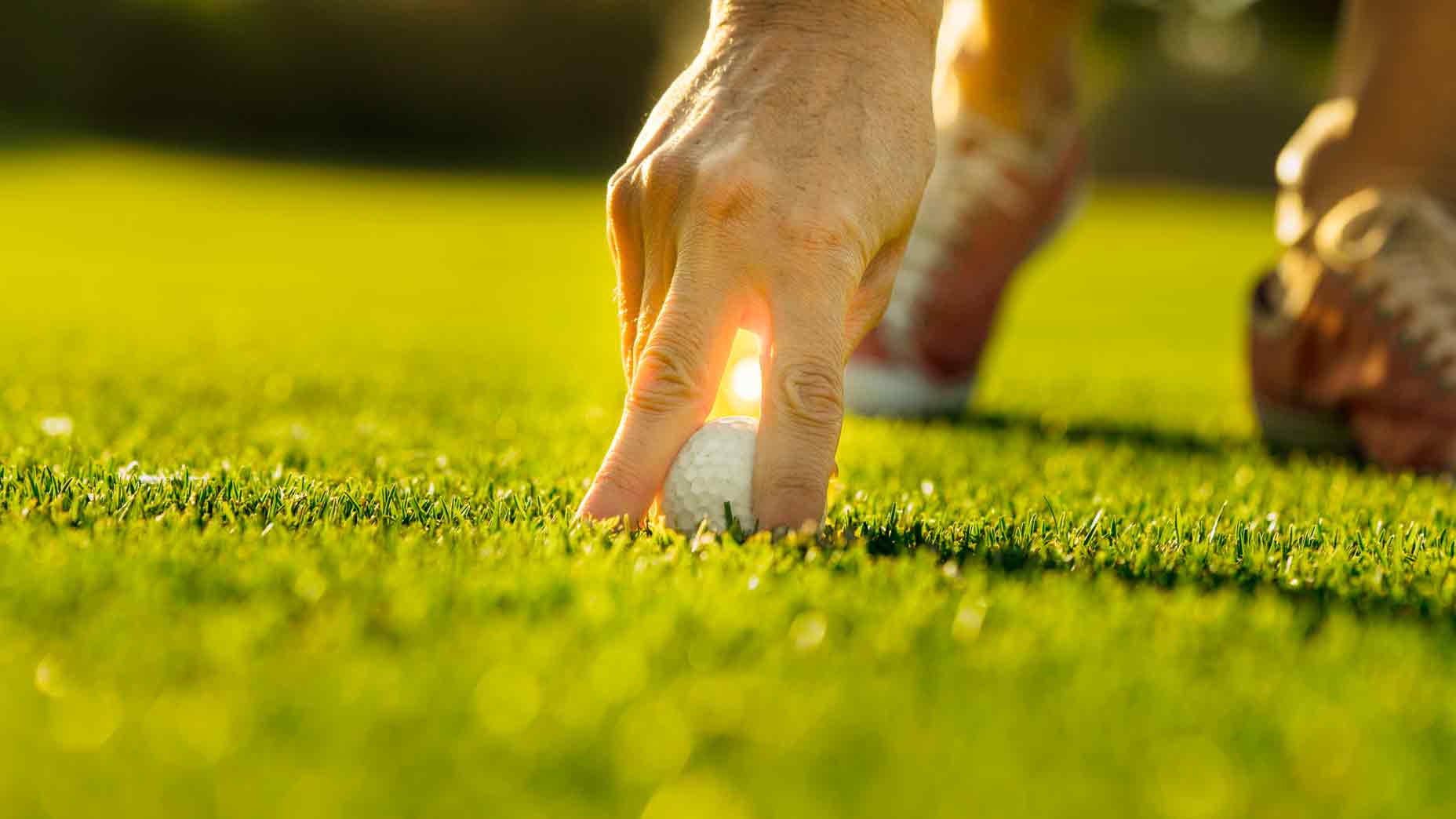 hand picking up ball
