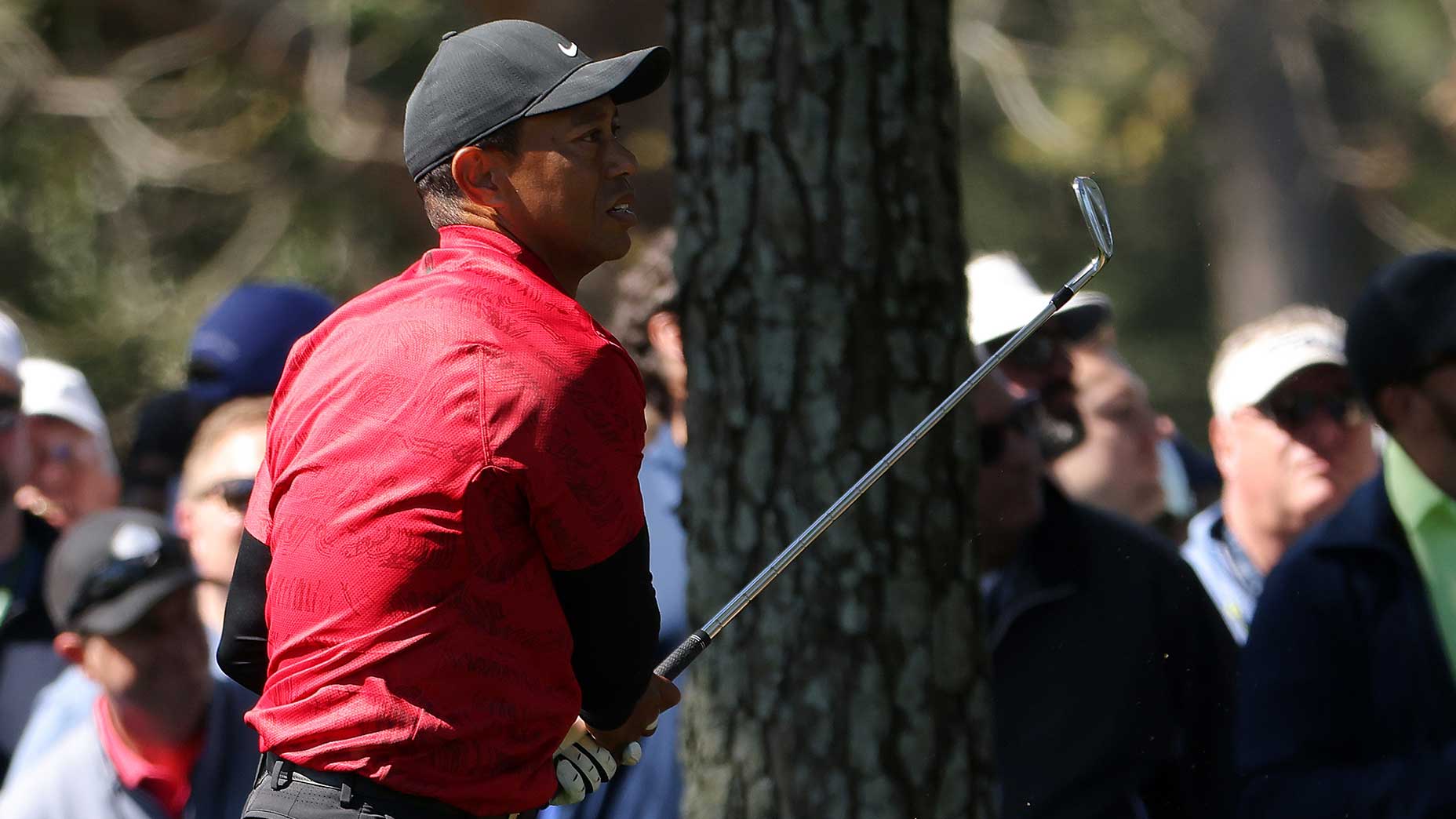 tiger woods swings iron