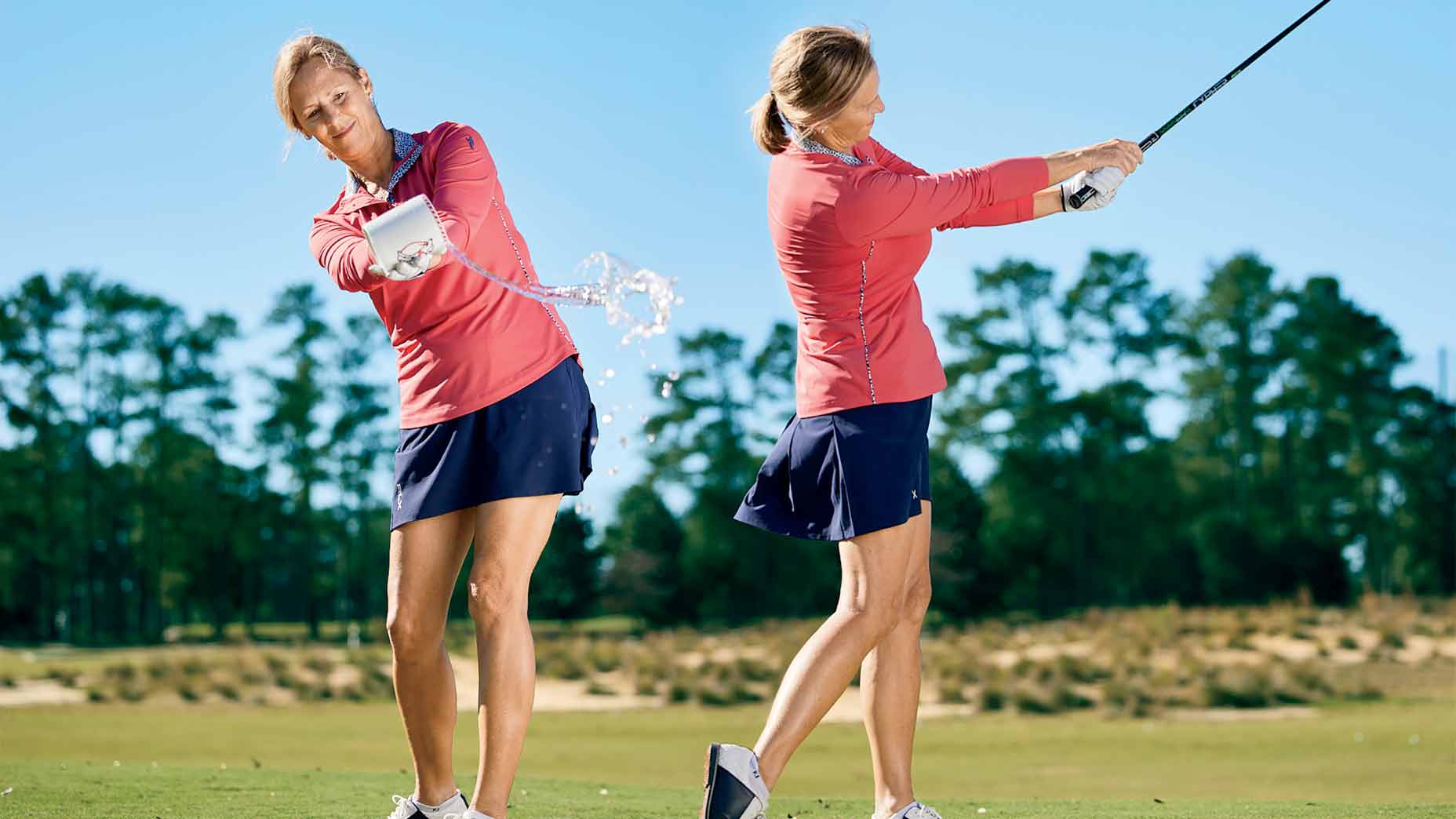 carol preisinger swings