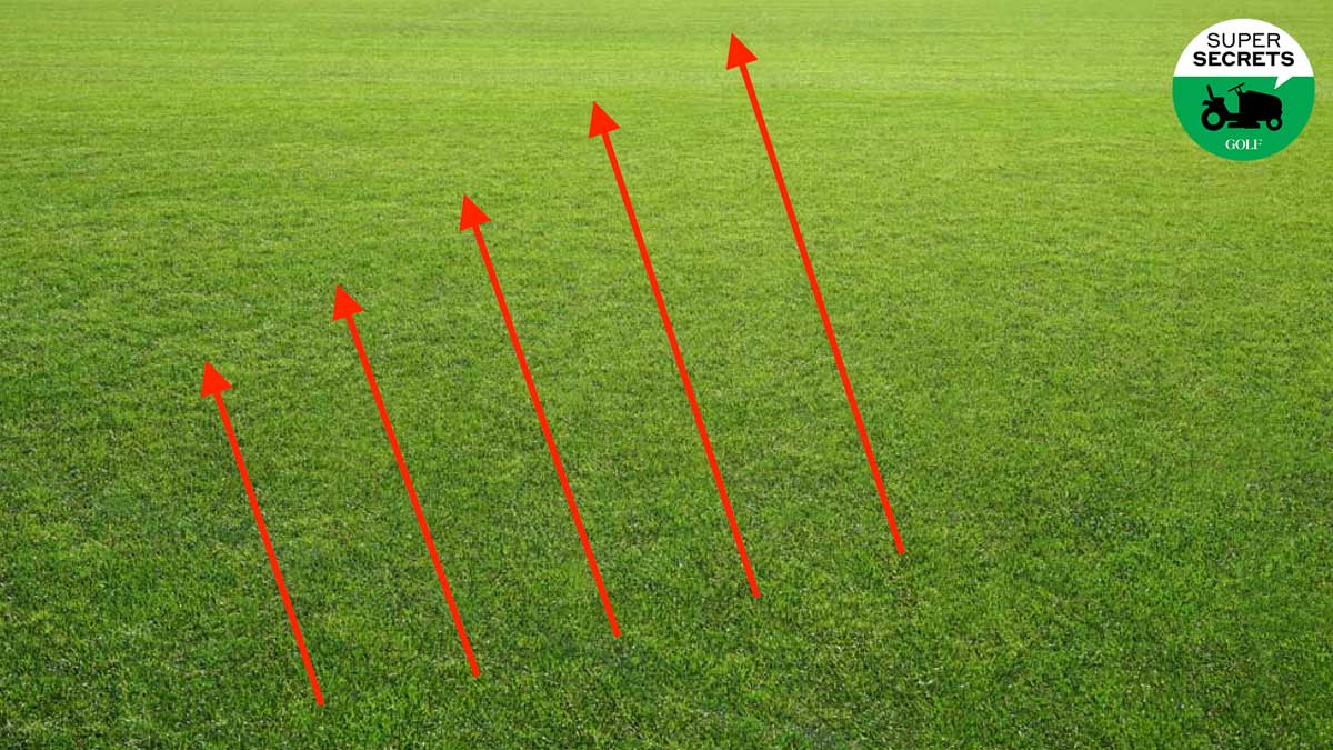 grain on putting green