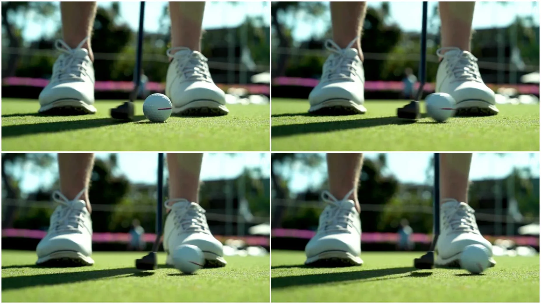 cameron smith ball line