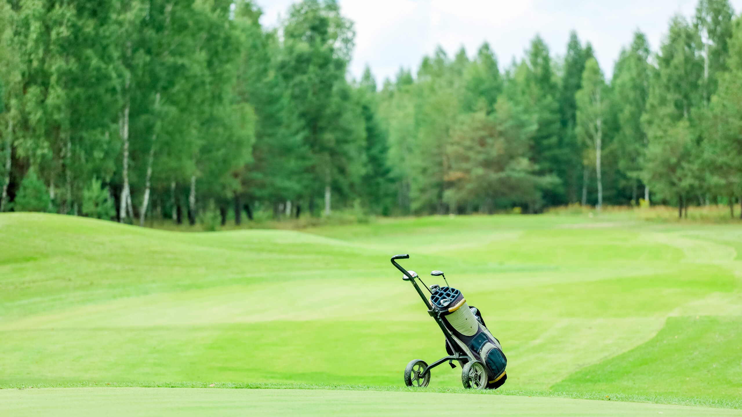 best golf push carts