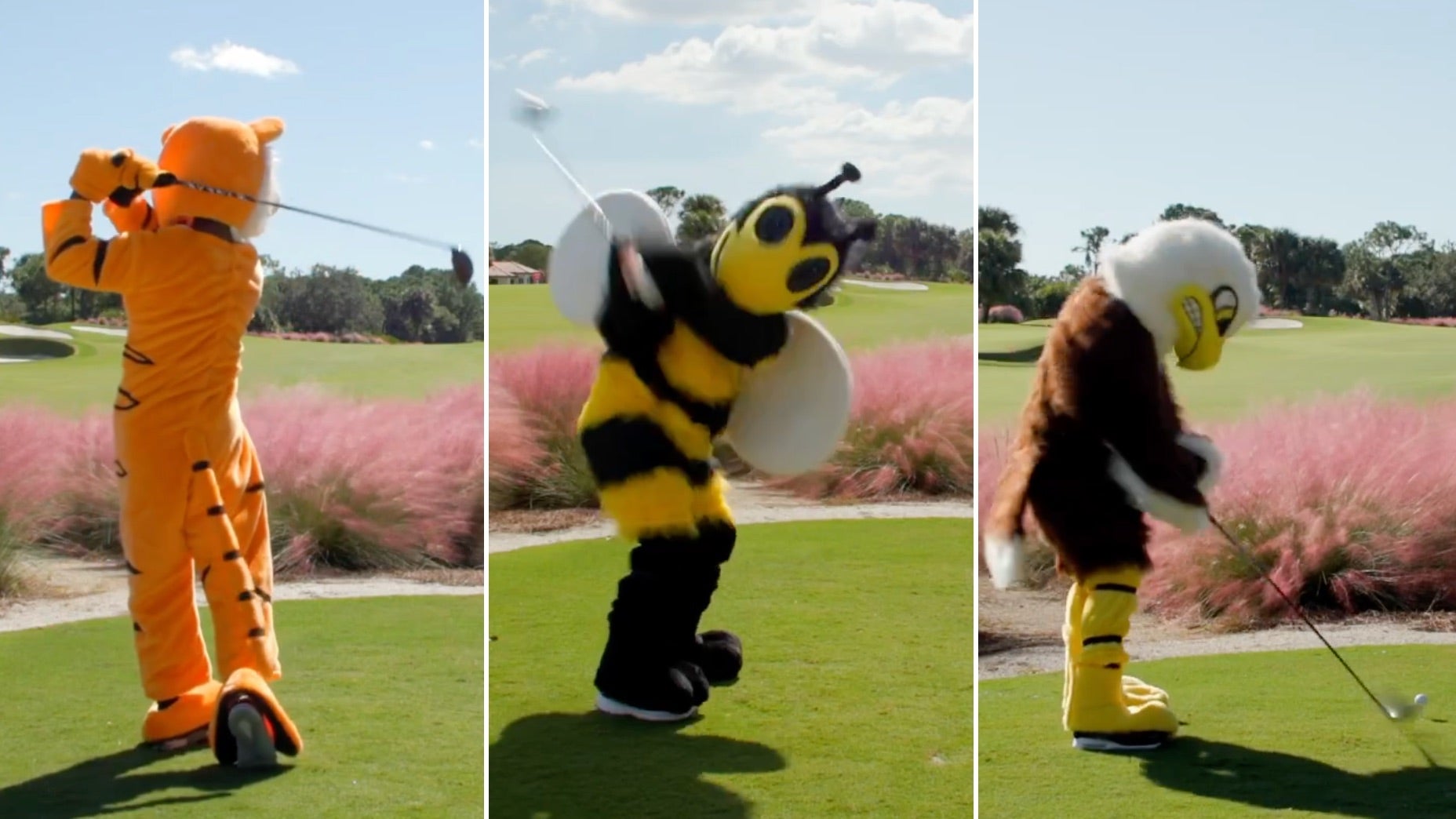 taylormade halloween video swings