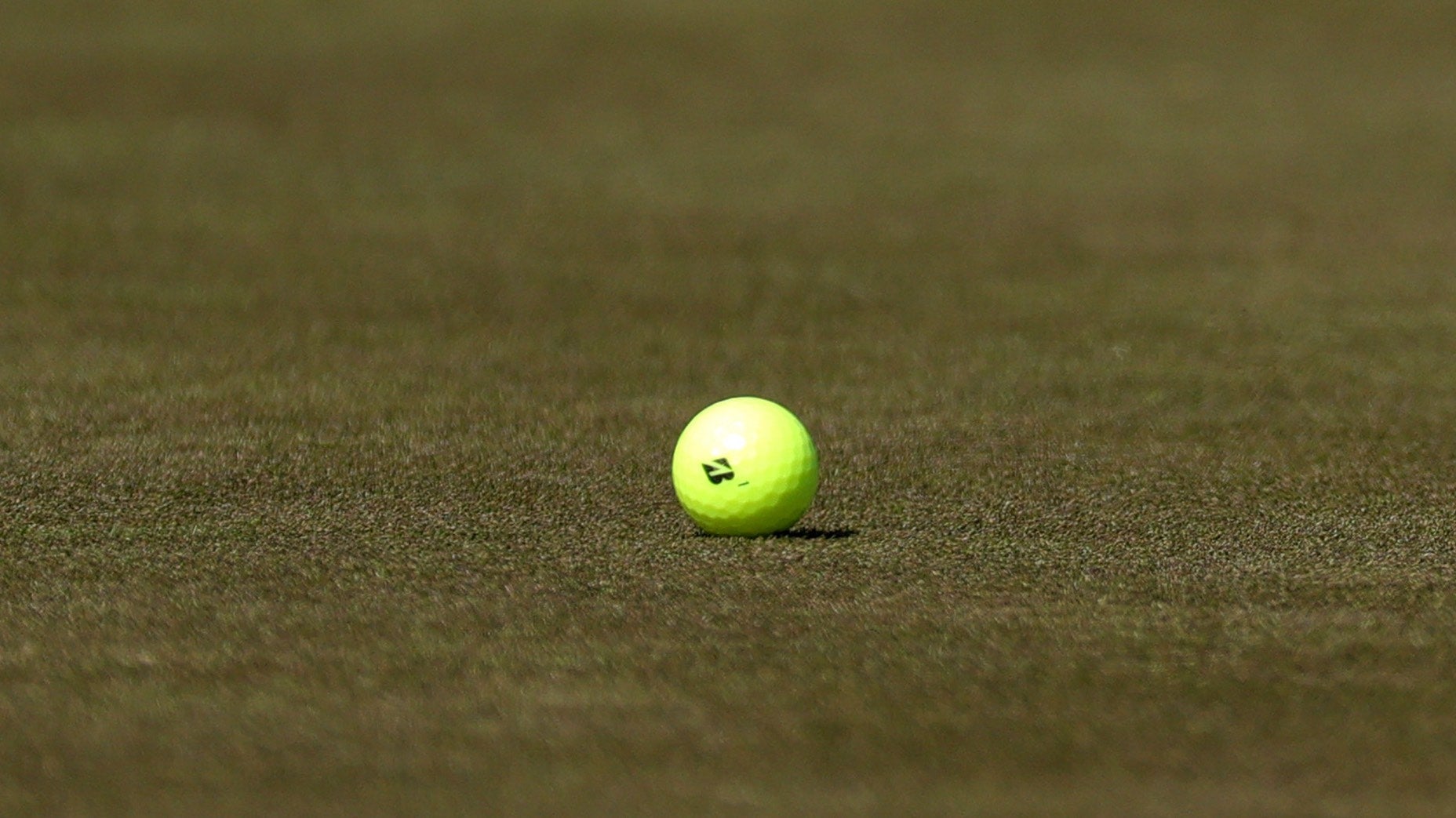 fred couples bridgestone tour b rxs yellow ball
