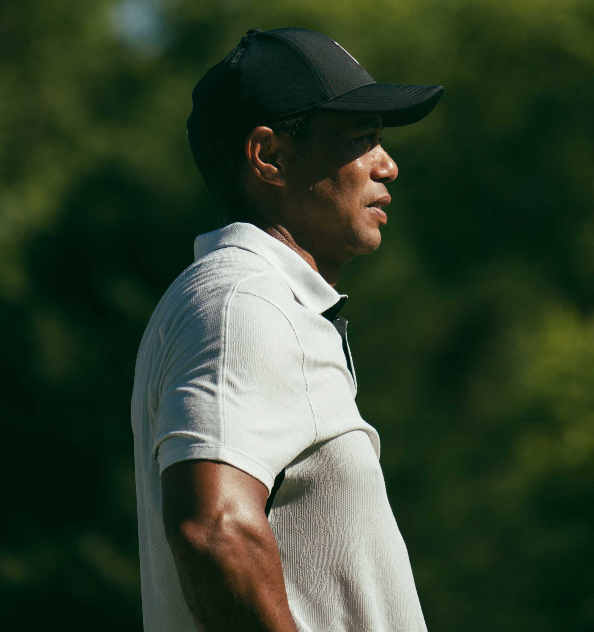 tiger woods
