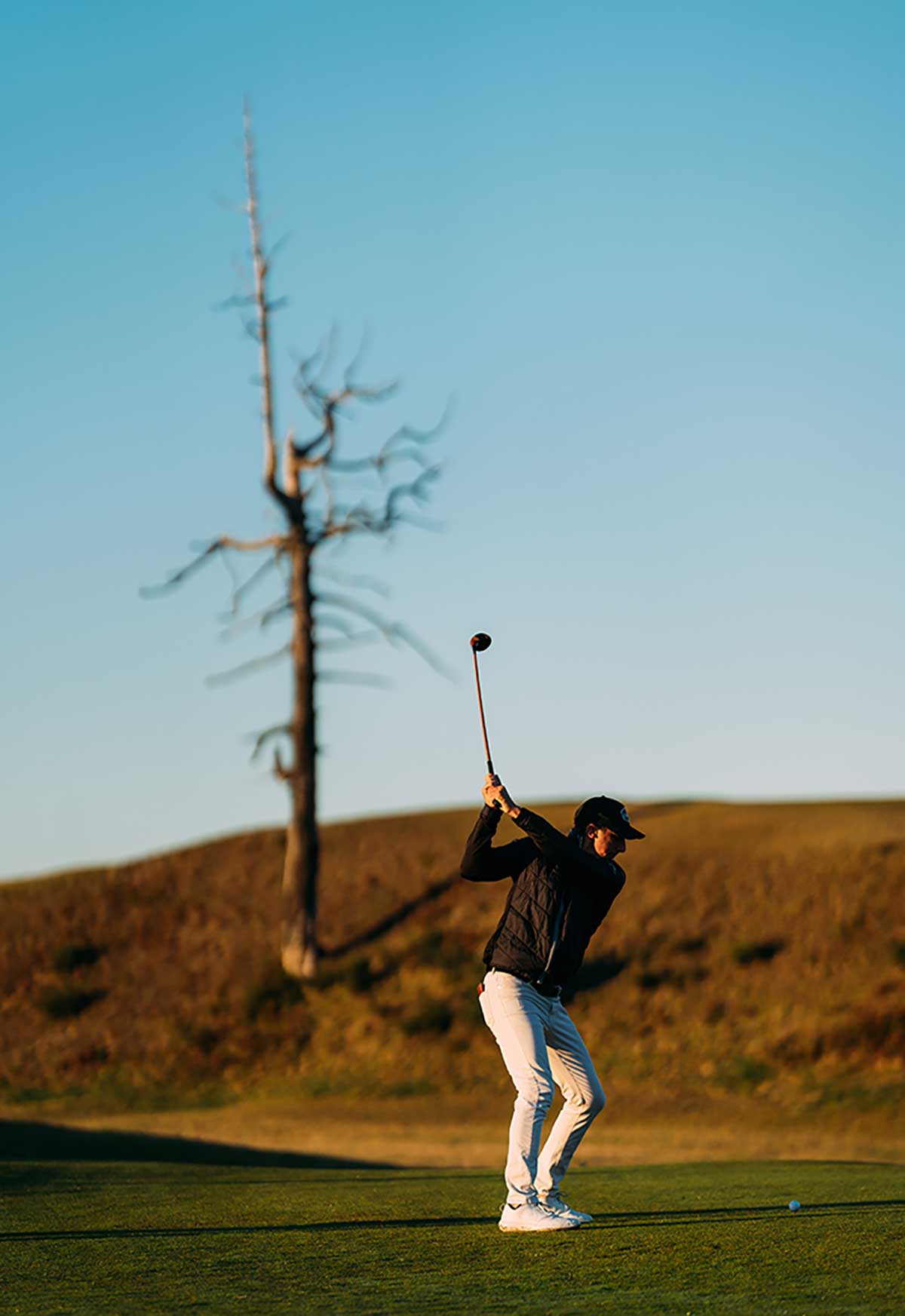 a golfer tees off around the ghost tree at bandon dunes golf resort.