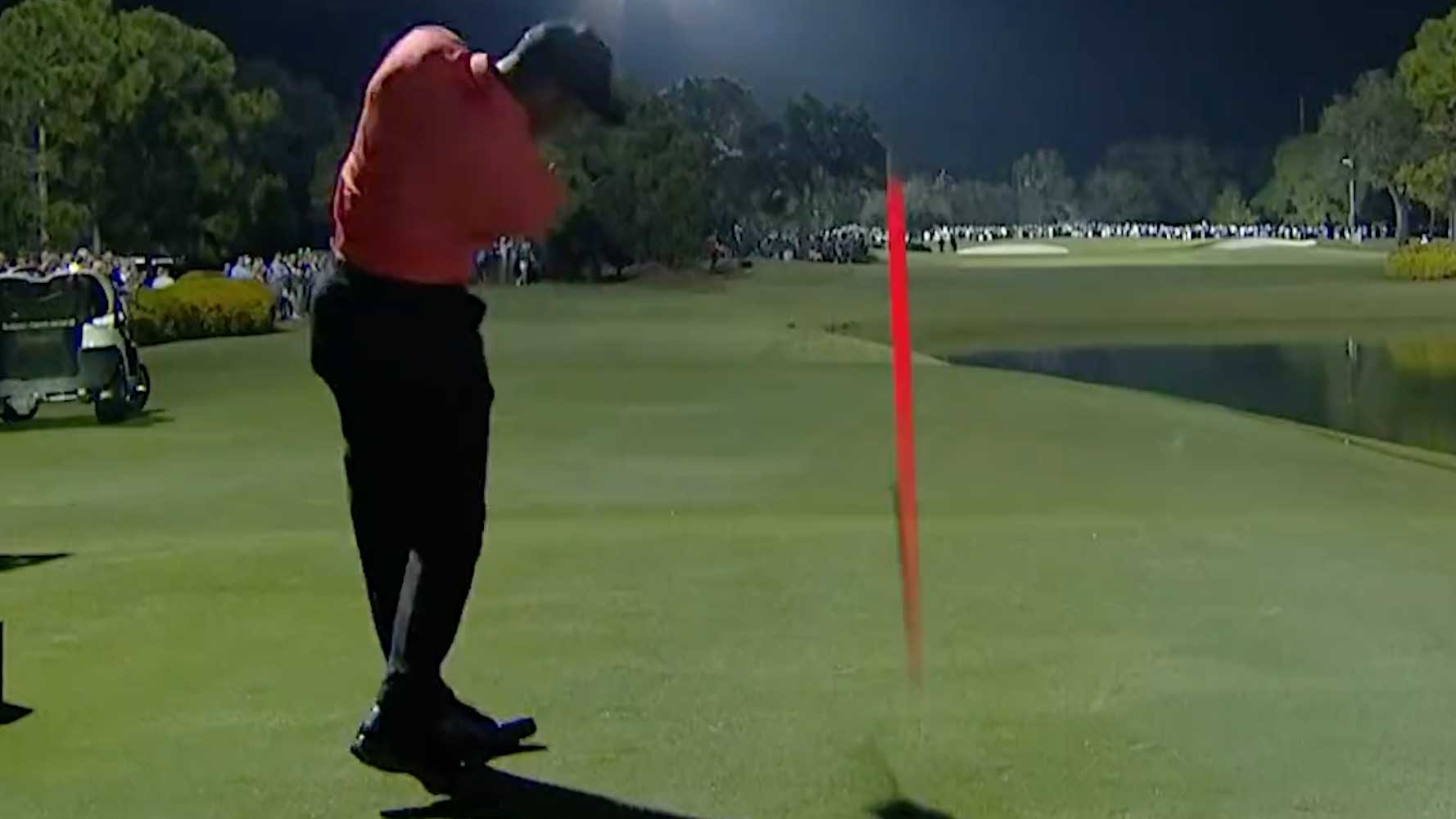 tiger woods at the match
