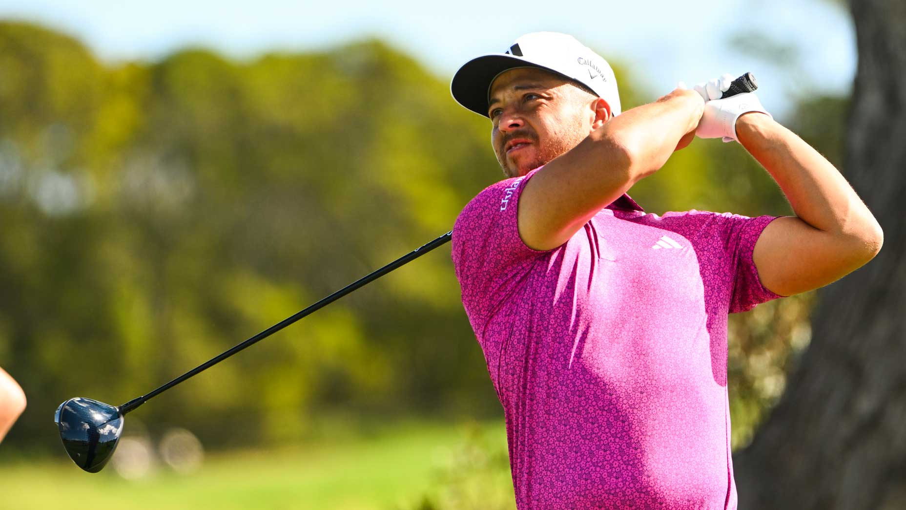 Xander Schauffele