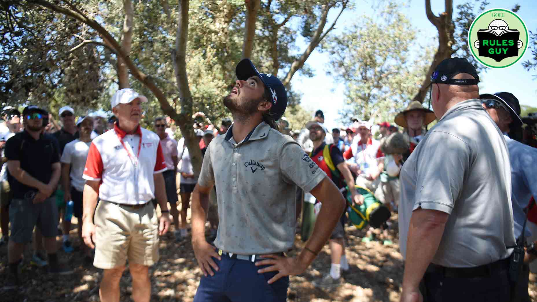 Rules Guy: If a ball gets stuck in a tree, is it considered lost or unplayable?