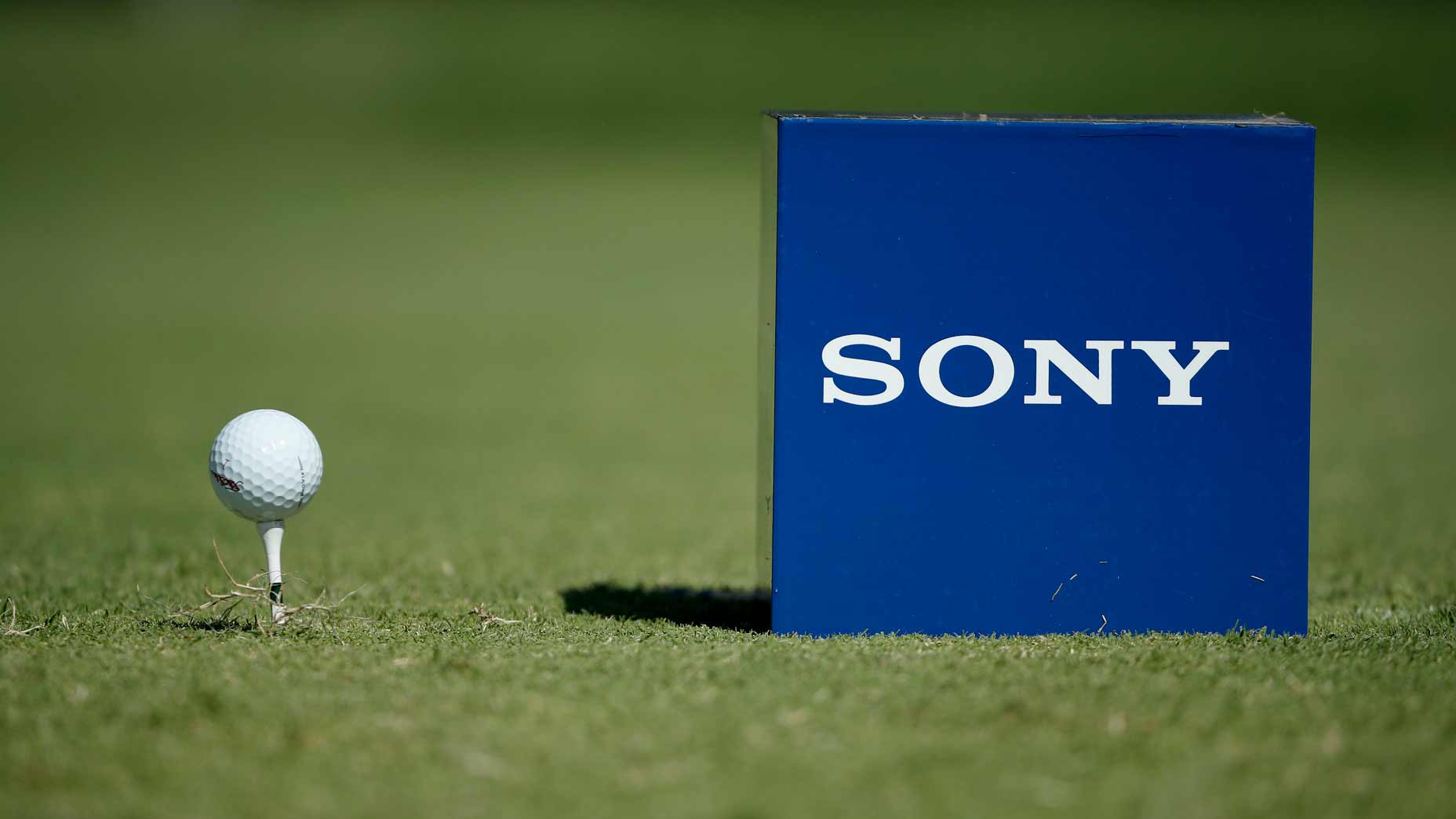 Tee marker at Sony Open in Hawaii