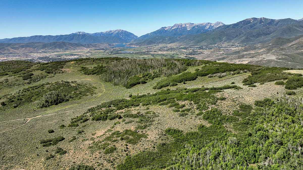 The Marcella club in utah