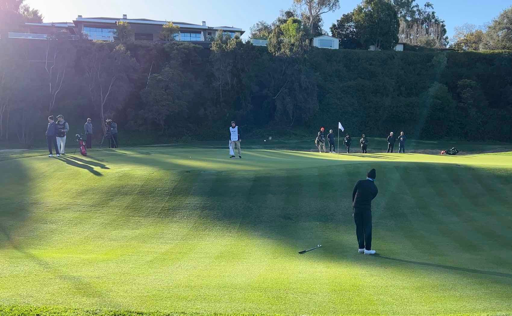 Tiger chipping genesis 2023