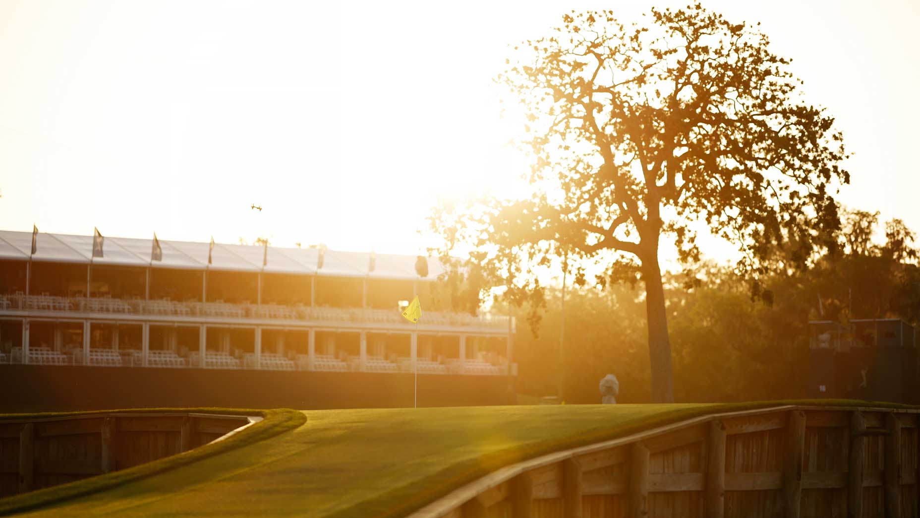 This year's Players Championship has plenty of intrigue on the side.