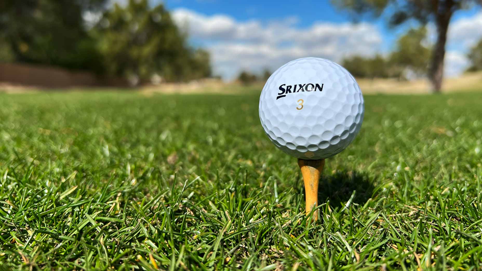Srixon golf ball teed up on golf course