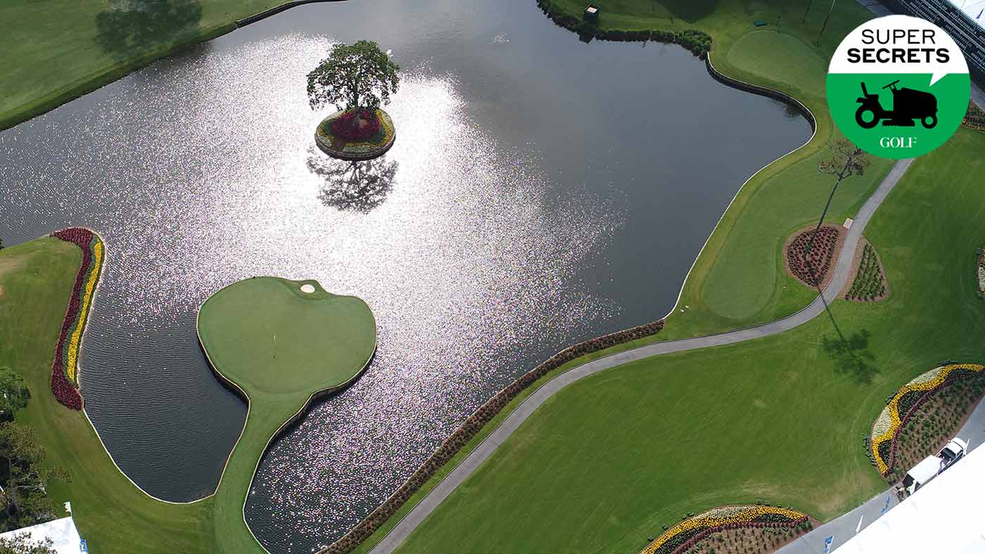 the par-3 17th at tpc sawgrass