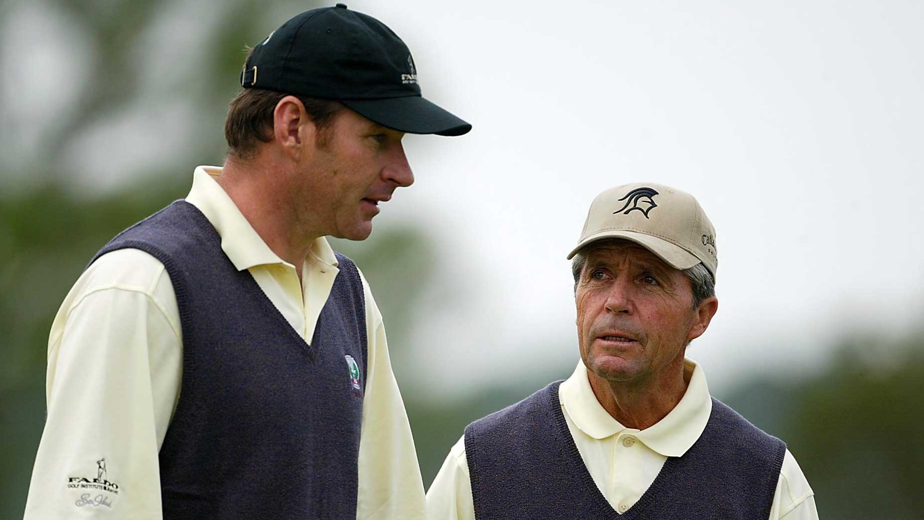 Nick Faldo, Gary Player