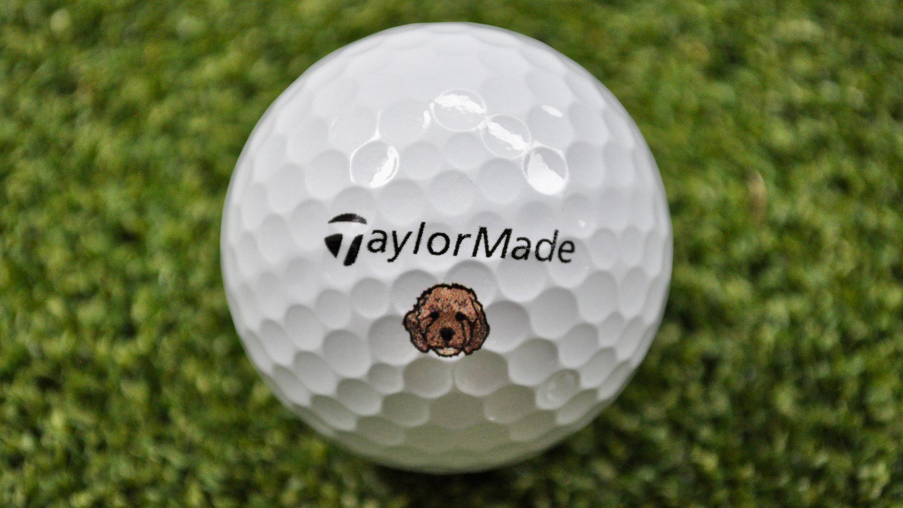 The 7 coolest gear finds in Collin Morikawa's TaylorMade setup | Bag Spy