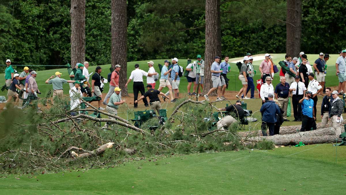 Fallen tree at Masters