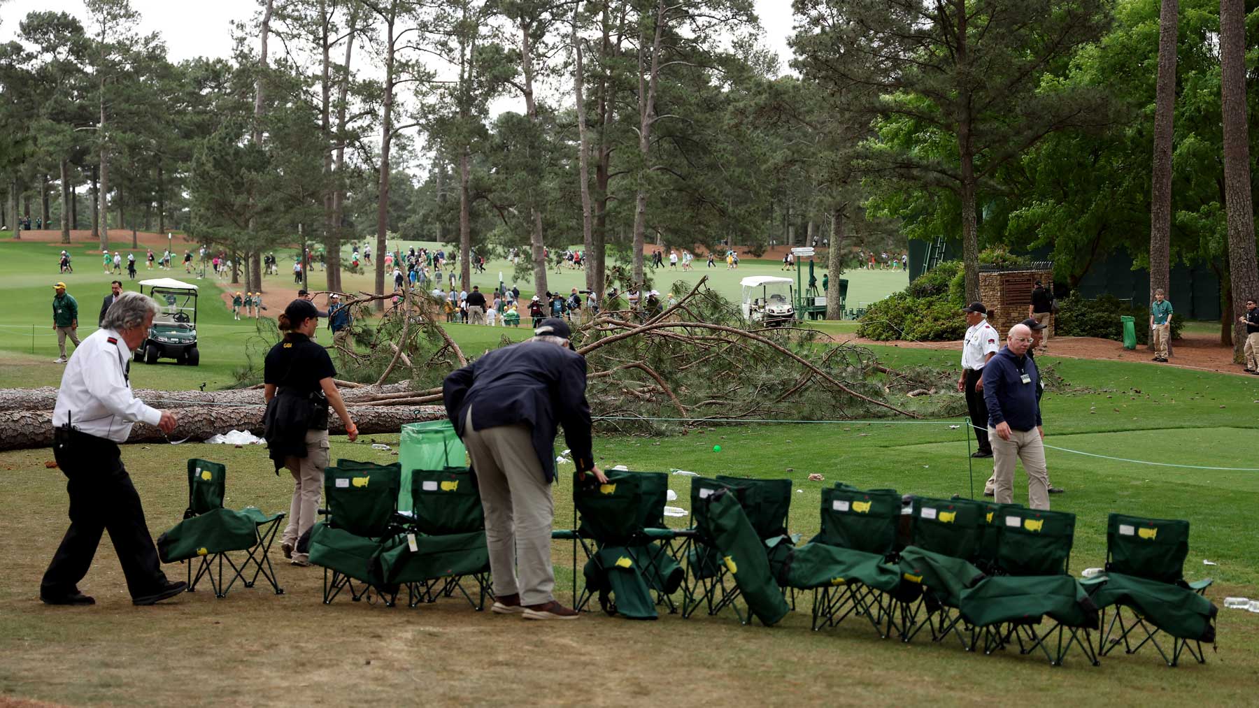 Fallen tree at Masters