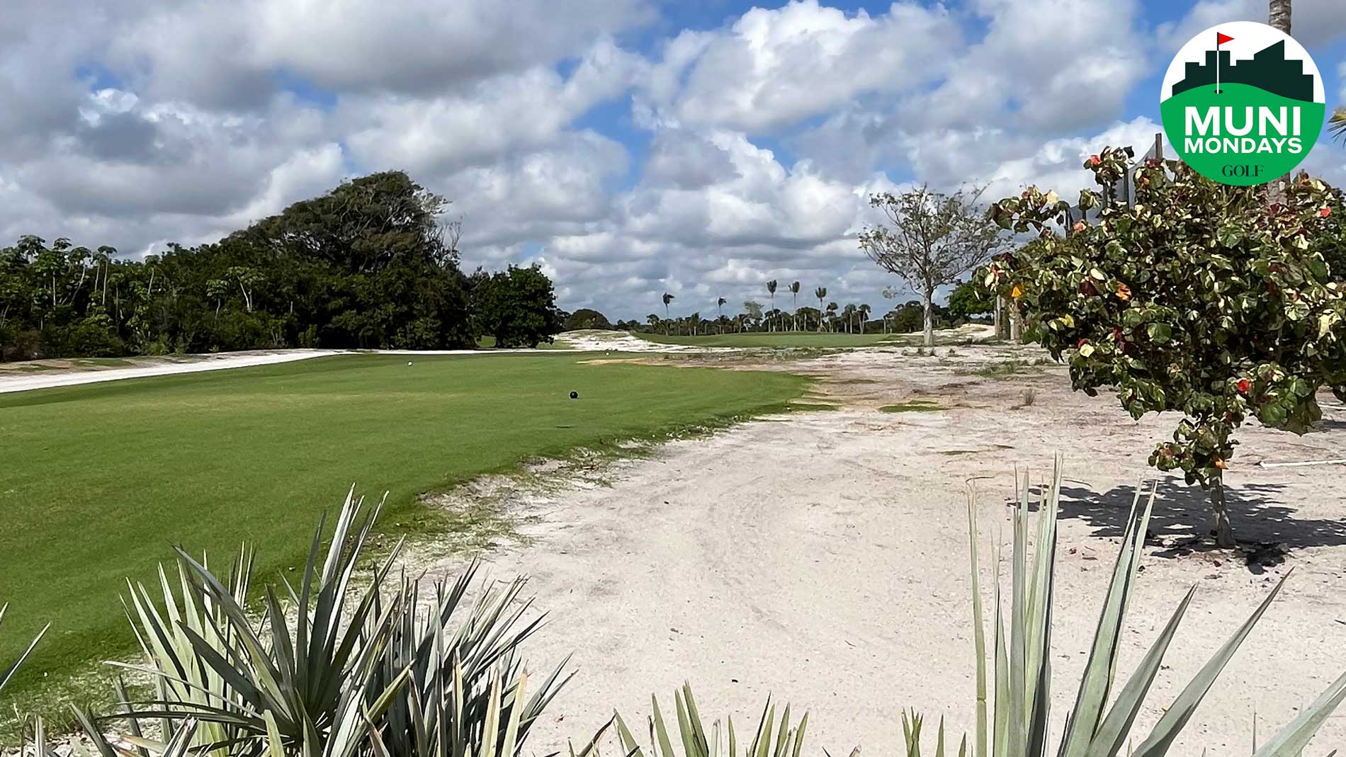 the park muni west palm
