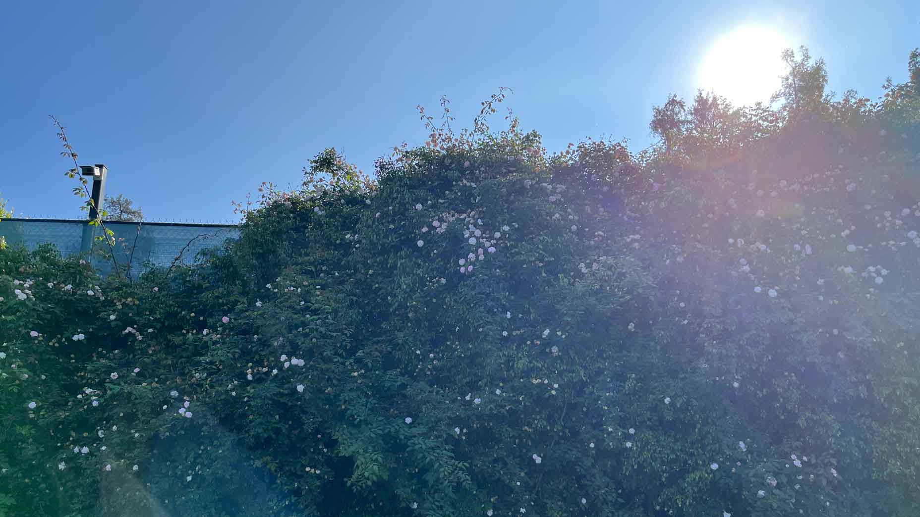 Los Angeles Country Club