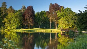 Carton House
