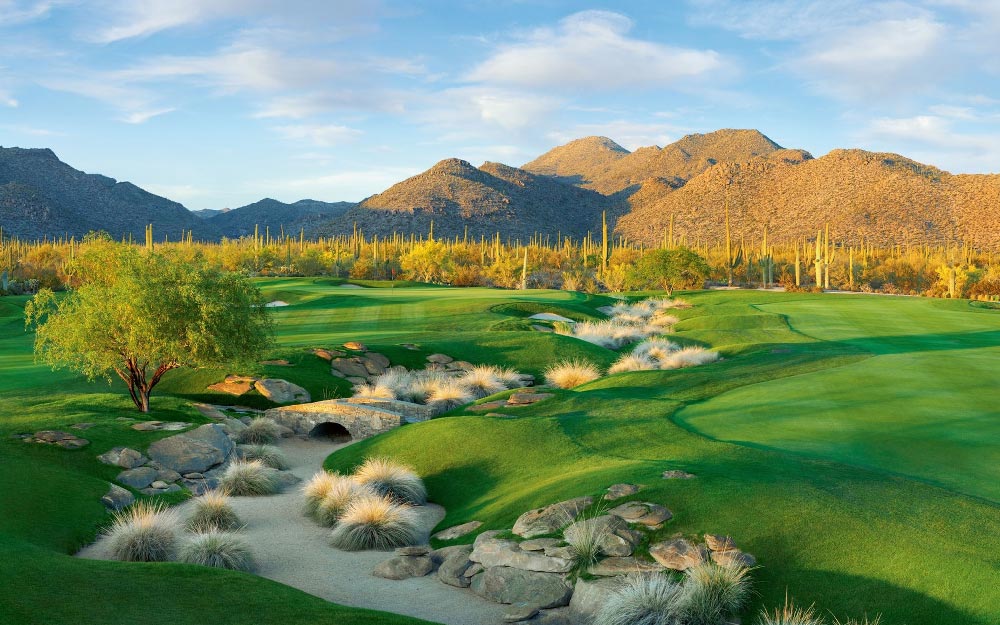 Ritz Carlton Dove Mountain