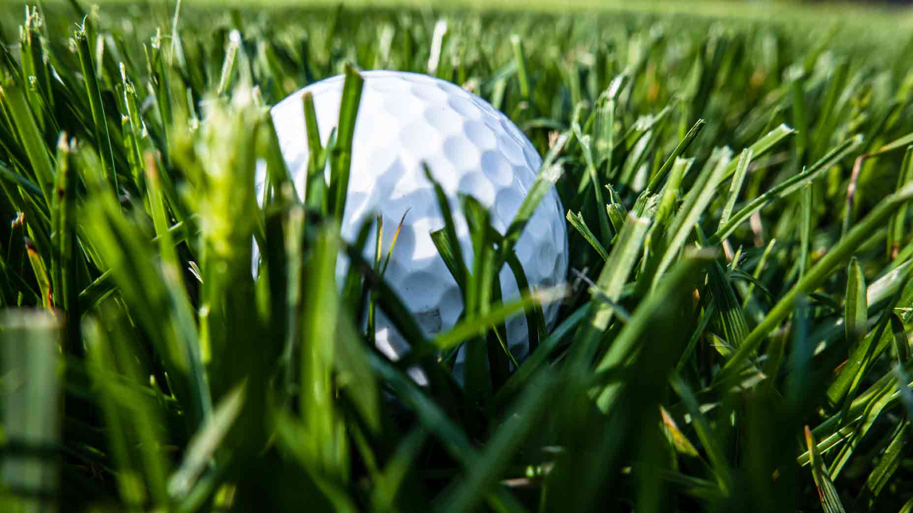 Golf ball in heavy rough