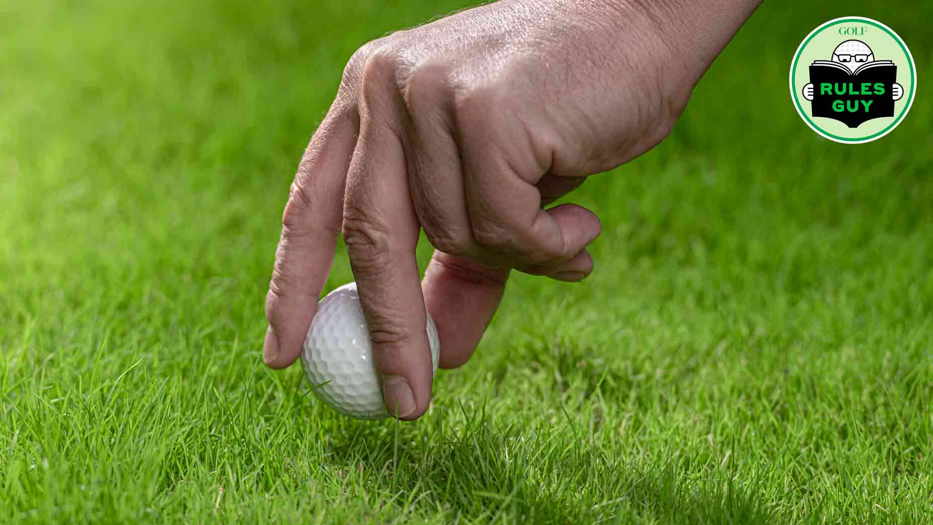 Rules Guy: I accidentally picked up my match-play partner's ball. Now what?