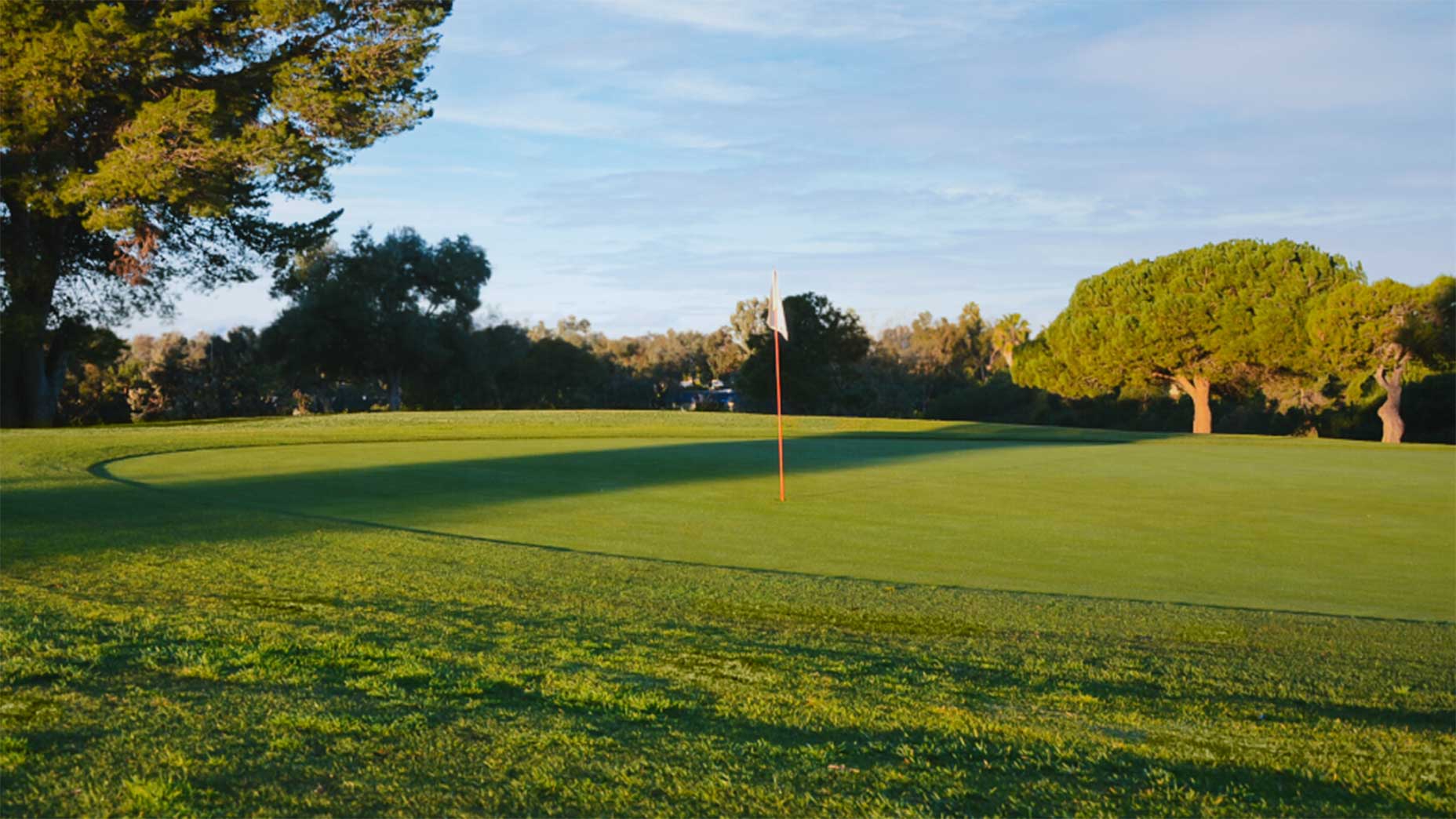 Newport golf