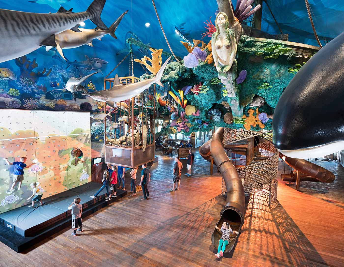 fun mountain at big cedar lodge