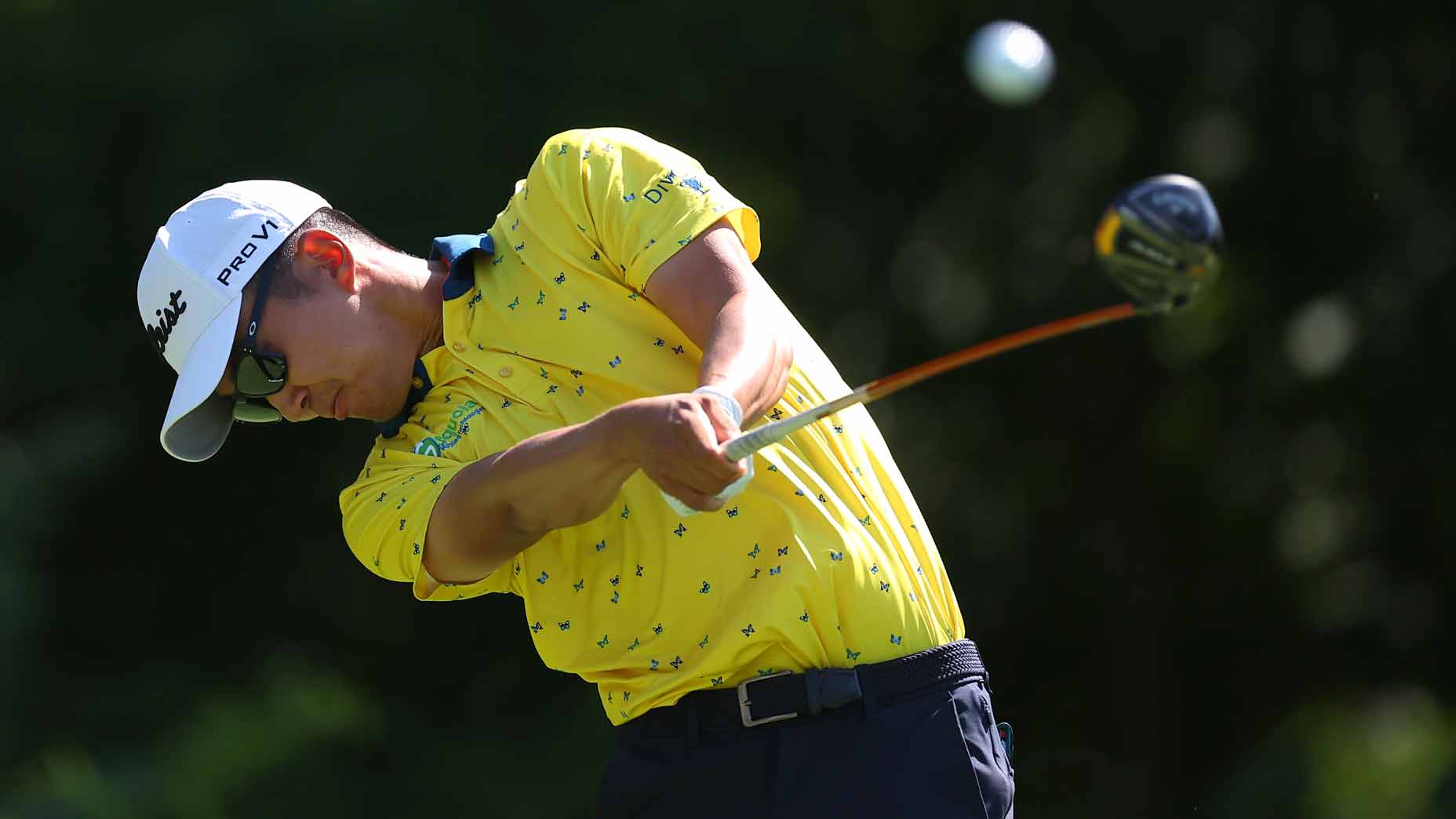 michael kim swings