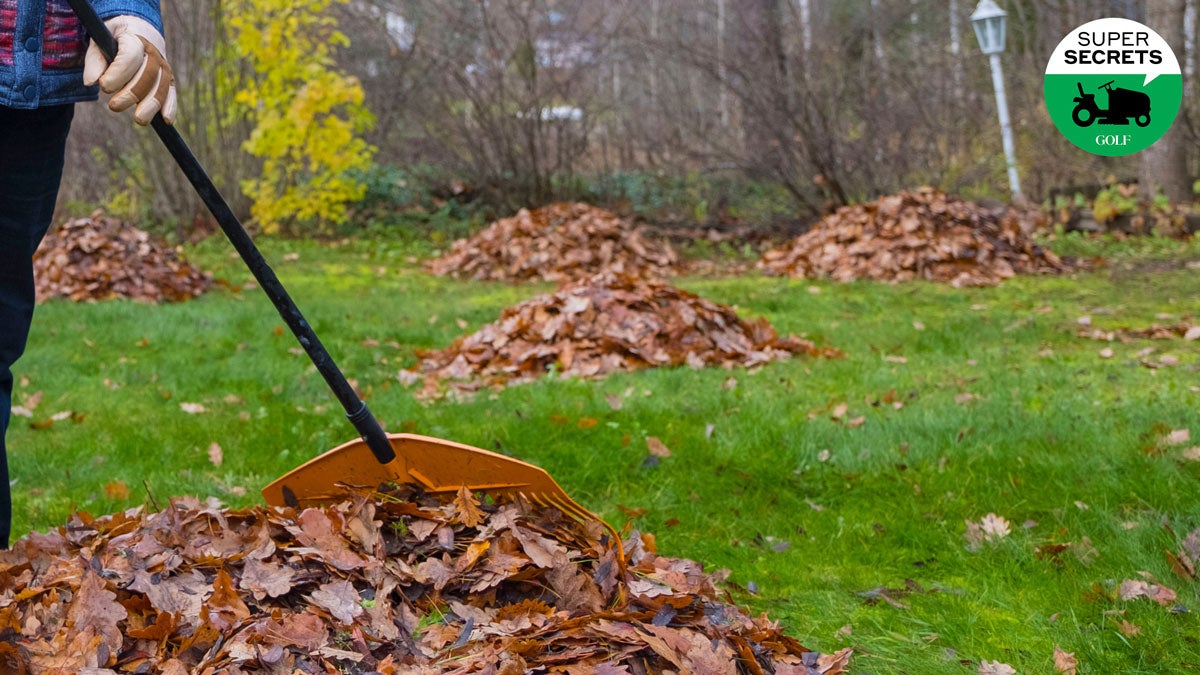 If you dread raking leaves, this golf-course superintendent has good news