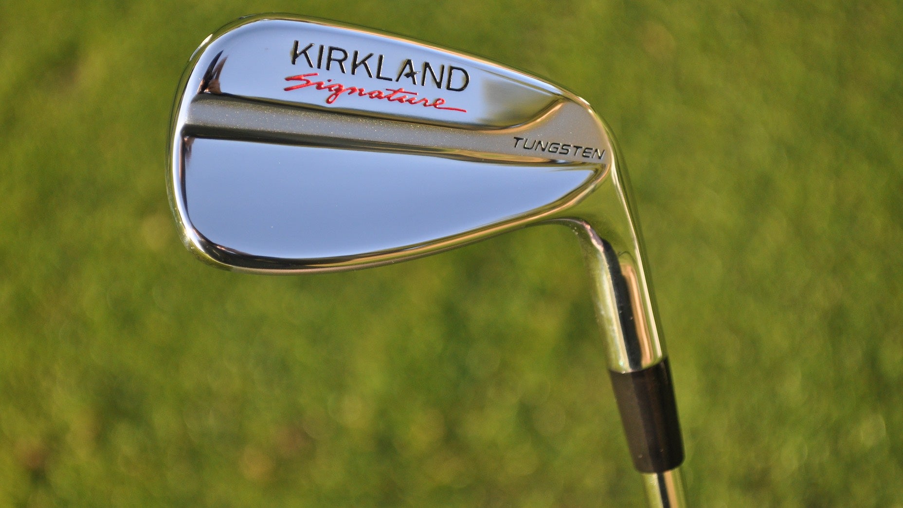 Costco Kirkland Signature irons review