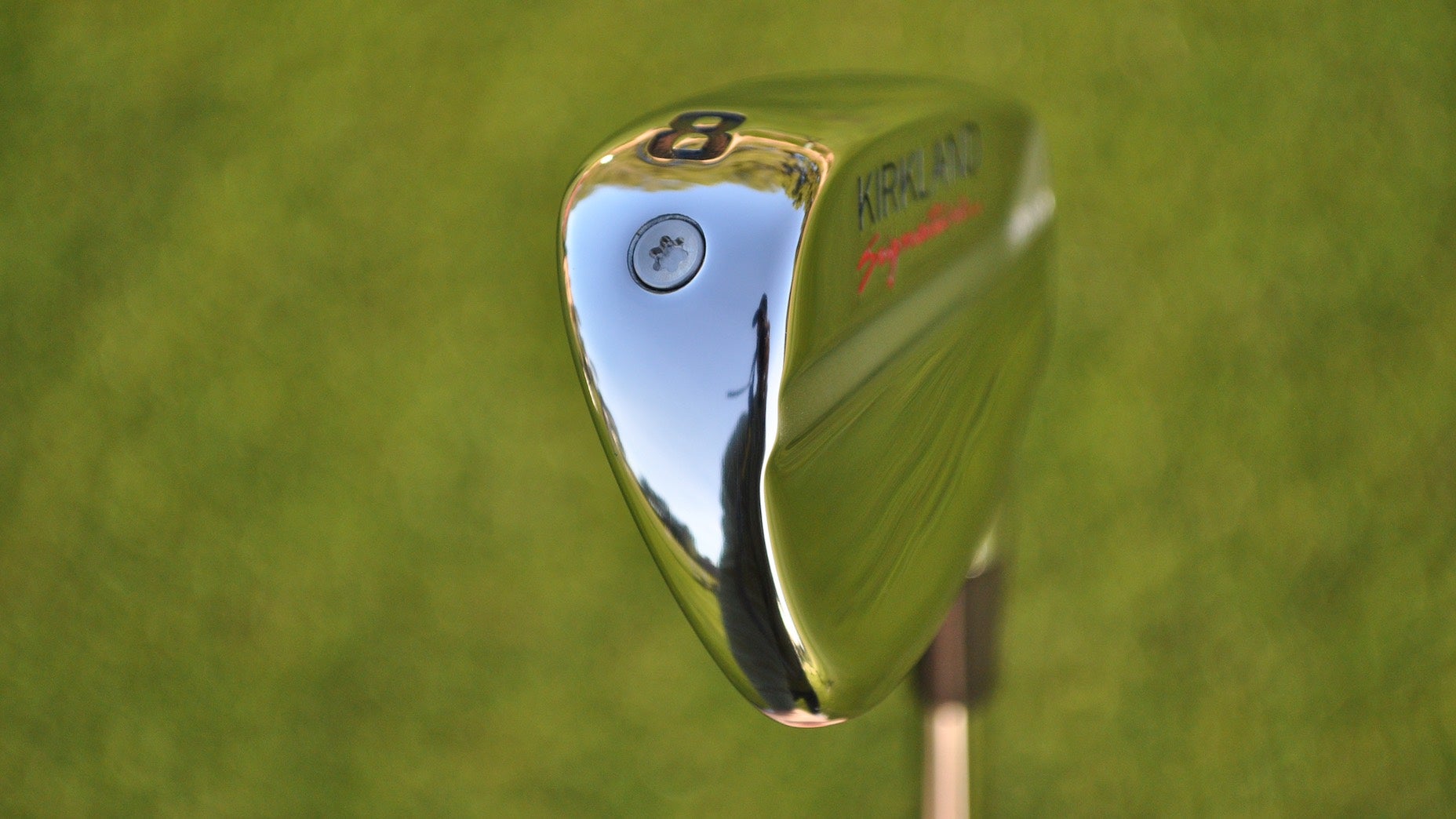 Costco Kirkland Signature irons testing
