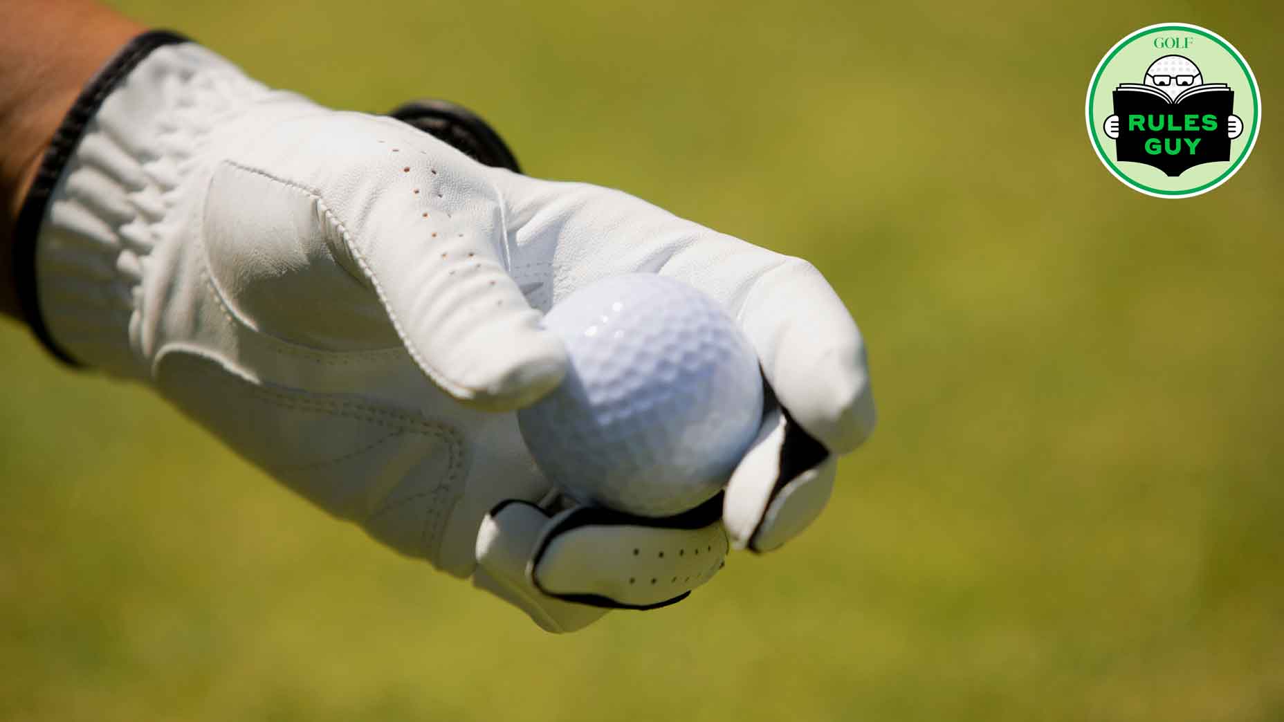Rules Guy: Can you put a provisional back in play after accidentally picking it up?