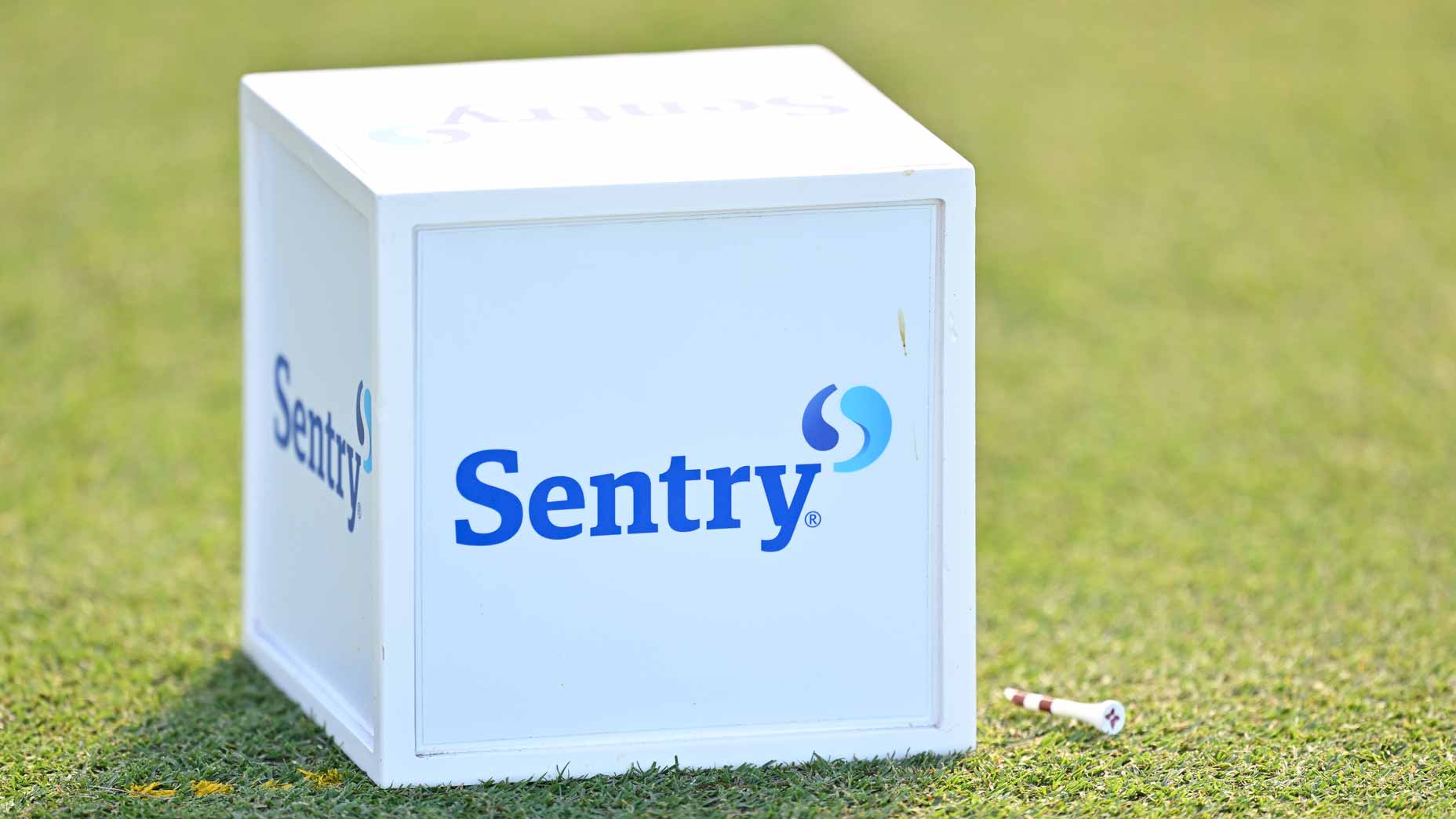 2025 Sentry Friday tee times: Round 2 groupings