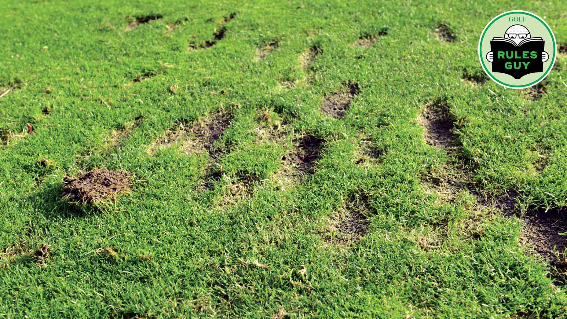 Rules Guy: The drop zone is full of divots. Can I drop behind it instead?