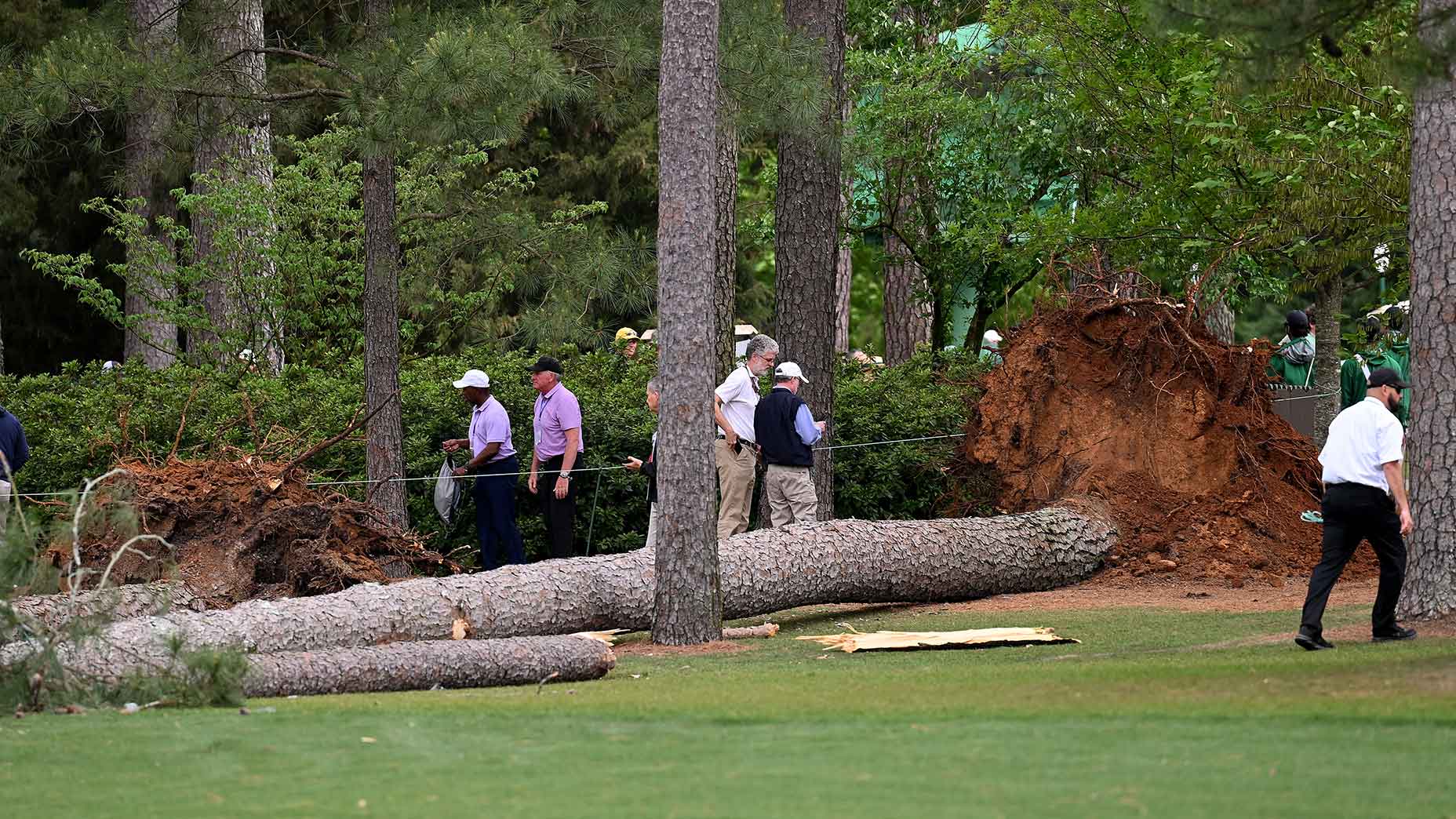 Augusta National trees fell