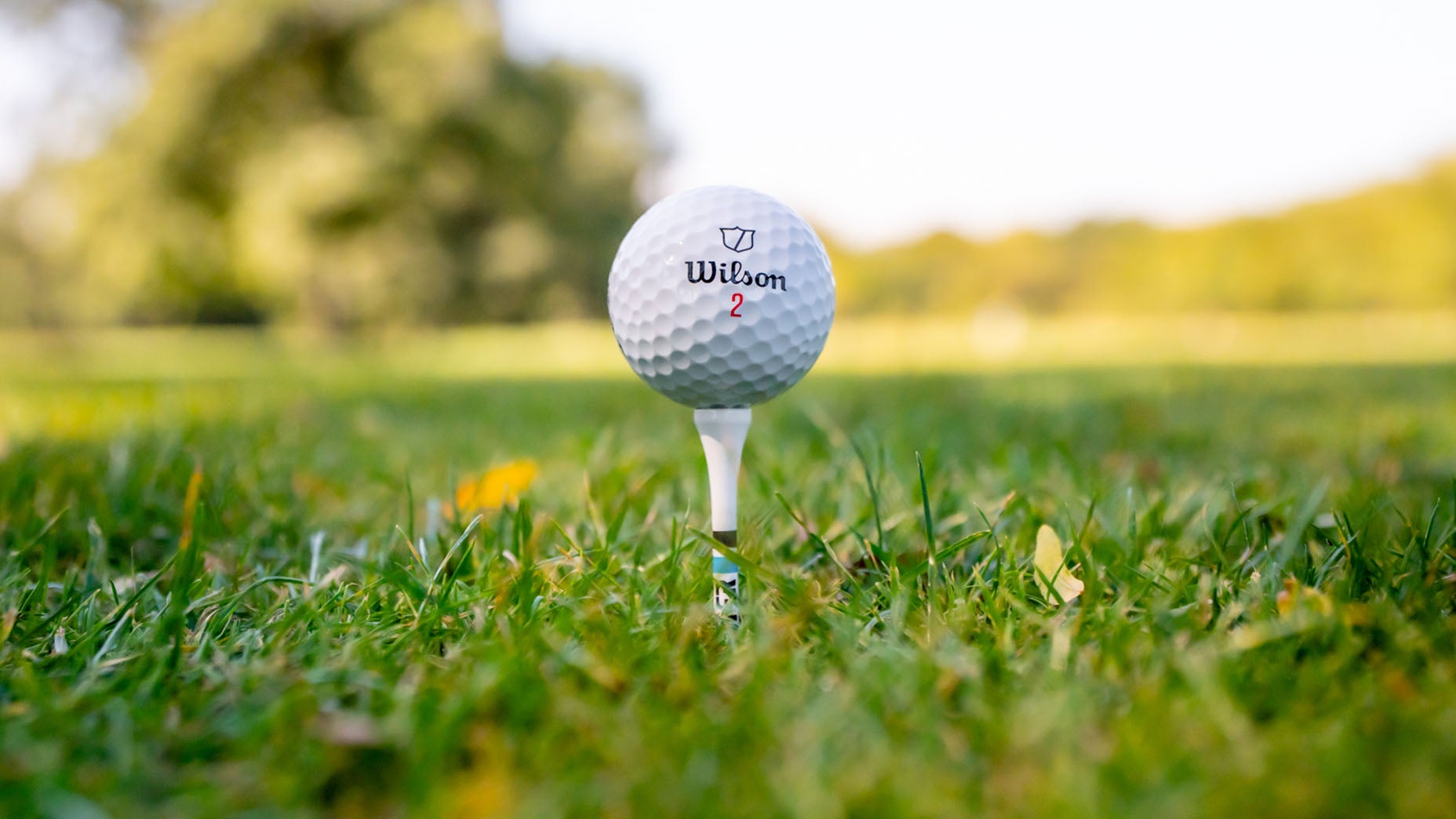 Wilson's Staff Model X golf ball