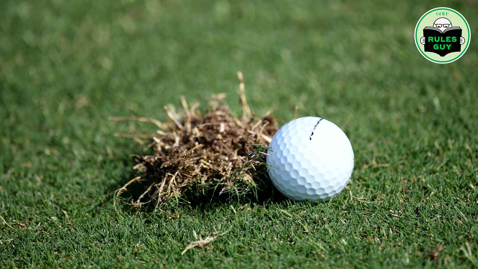 Rules Guy: My divot impeded my next shot. Can I stomp on it?