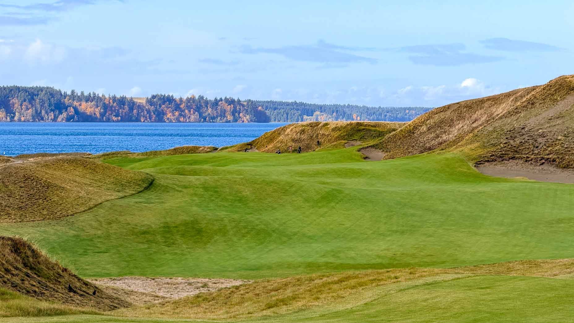 Chambers Bay No. 1.