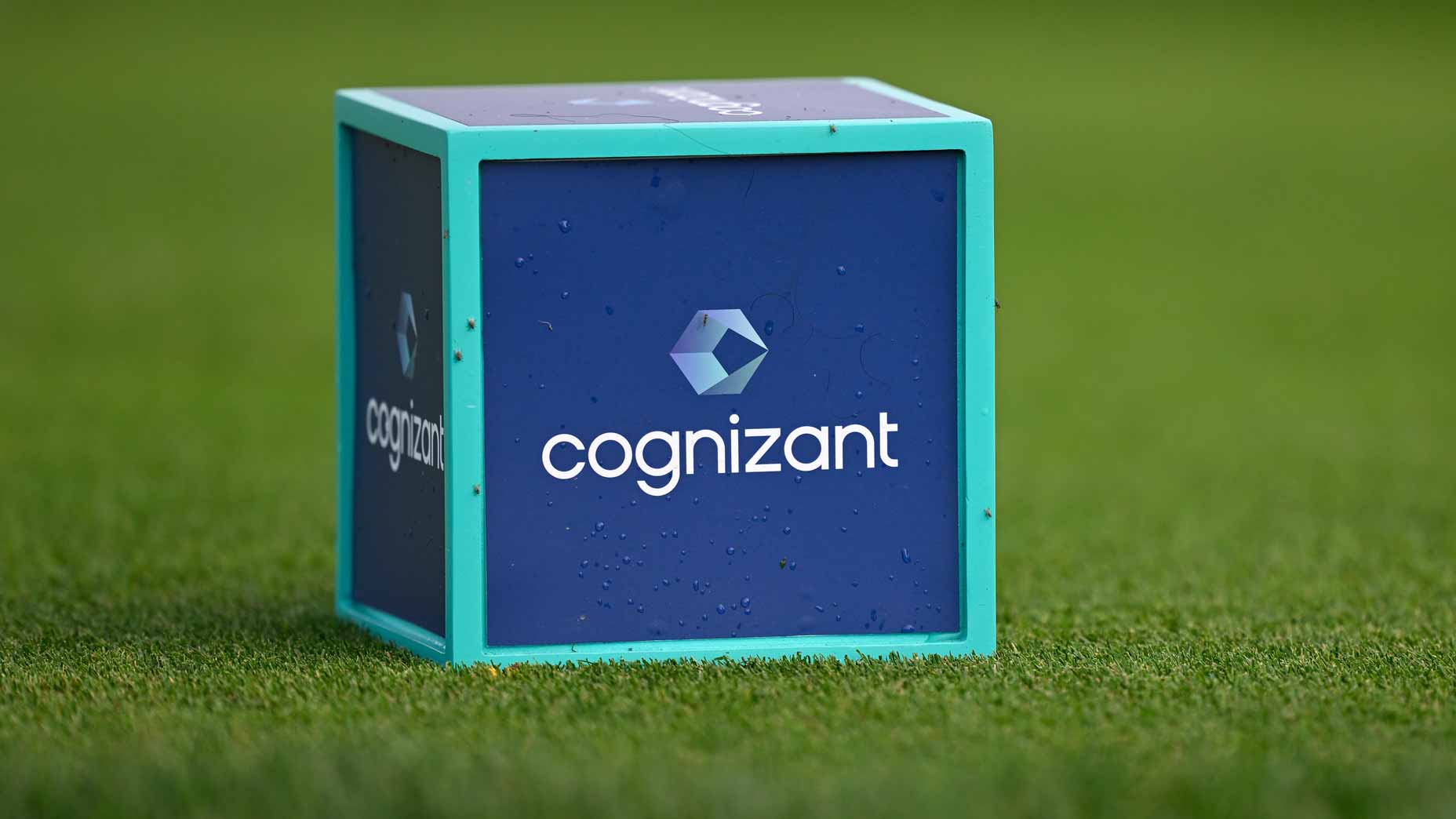 2026 Cognizant Classic in the Palm Beaches tee marker is seen during the PGA Tour event.