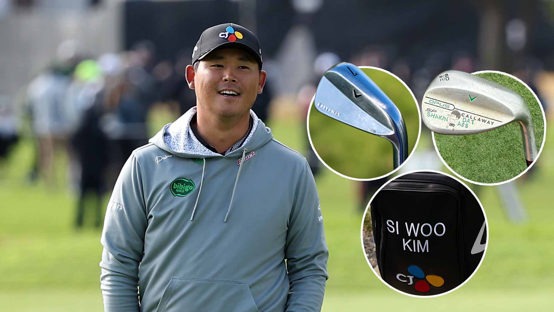 Si Woo Kim Bag Spy cover