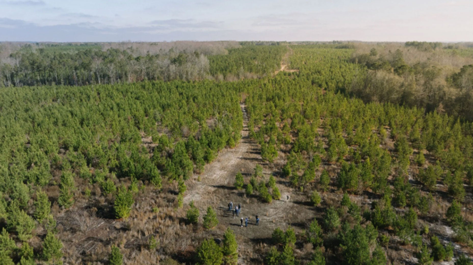 Candyroot, a mutli-course destination outside Charlotte, is taking shape.
