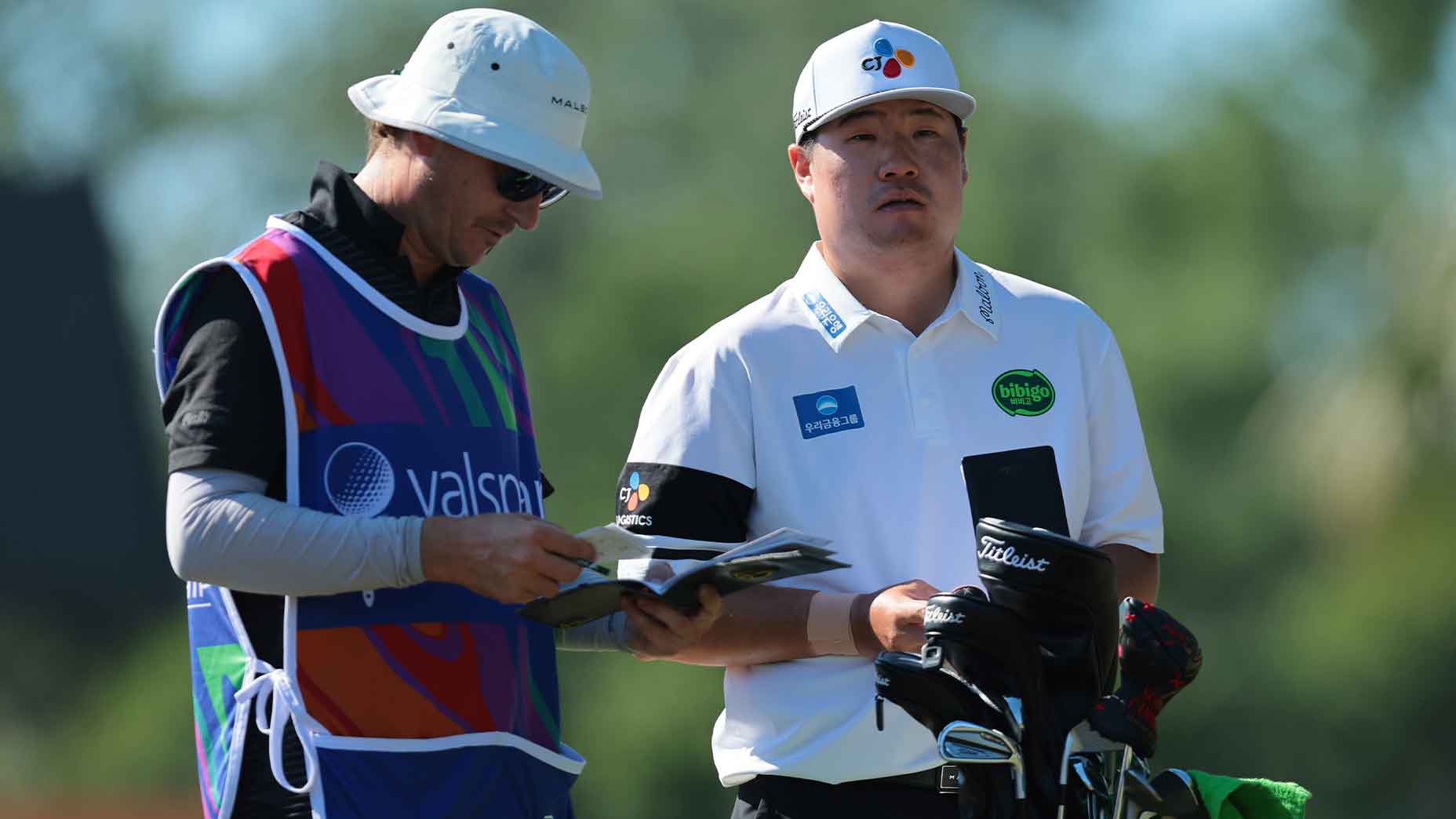 Sungjae Im of South Korea looks on from the 13th tee during the third round of the Valspar Championship 2026 at Copperhead Course at Innisbrook Resort and Golf Club on March 21, 2026 in Palm Harbor, Florida. (Photo by Sam Navarro/Getty Images)