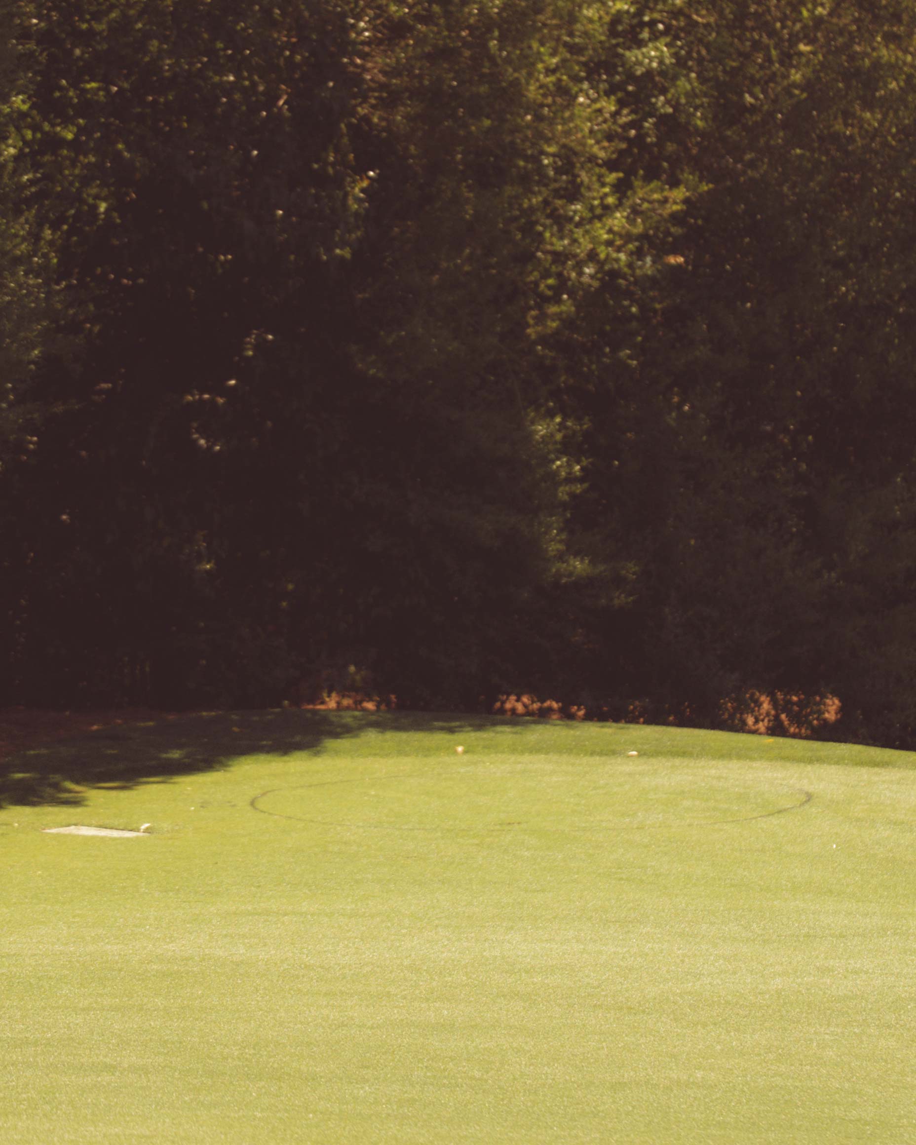 A green golf putting surface with a faint circular outline and a sand trap on the left, surrounded by dense trees under bright sunlight, evokes the iconic beauty of Augusta National—perfect for anyone who's walked all 18 in search of golf perfection.
