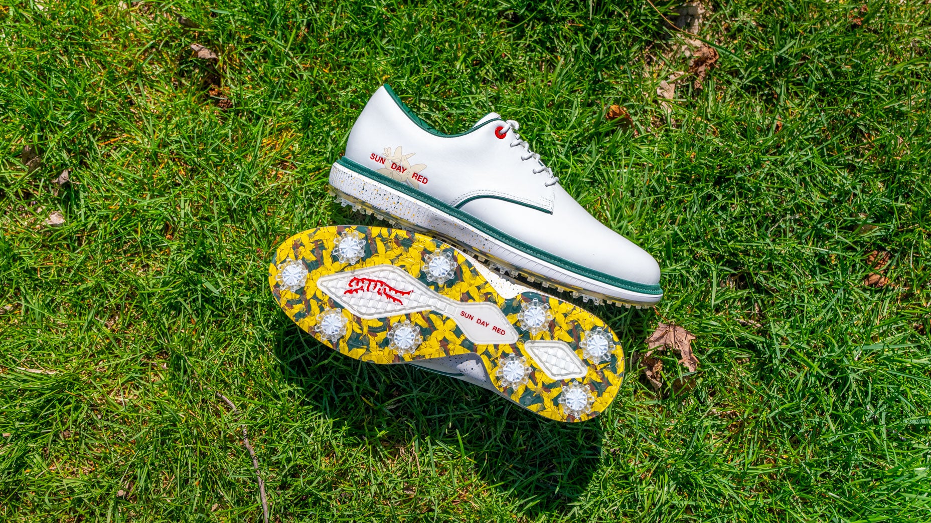 Sun Day Red's new Pioneer Willow SE