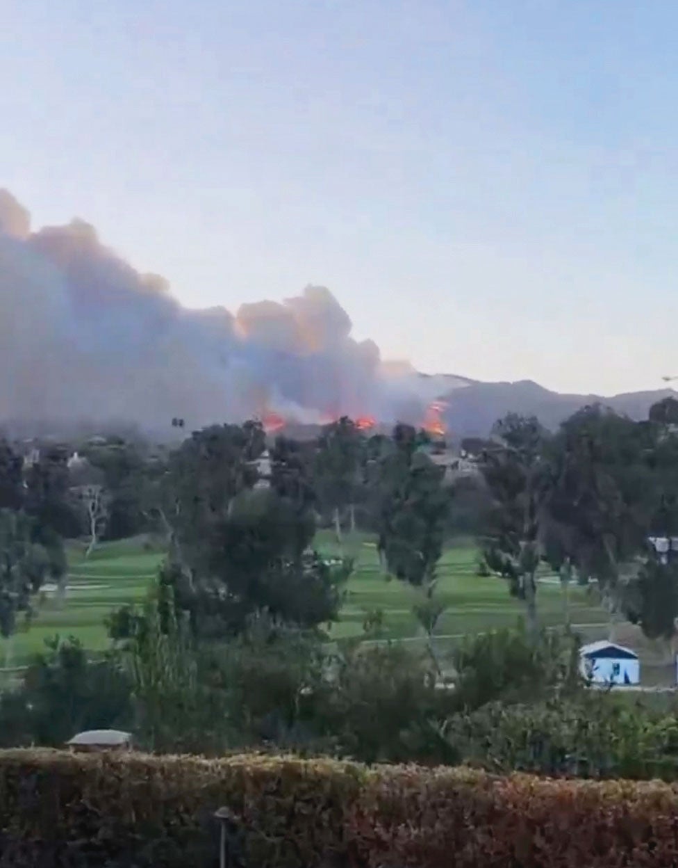 Smoke and flames rise from a wildfire burning in the distance behind a row of trees and grassy area, with hills and a clear sky in the background, evoking a deeper meaning amid nature’s intensity.