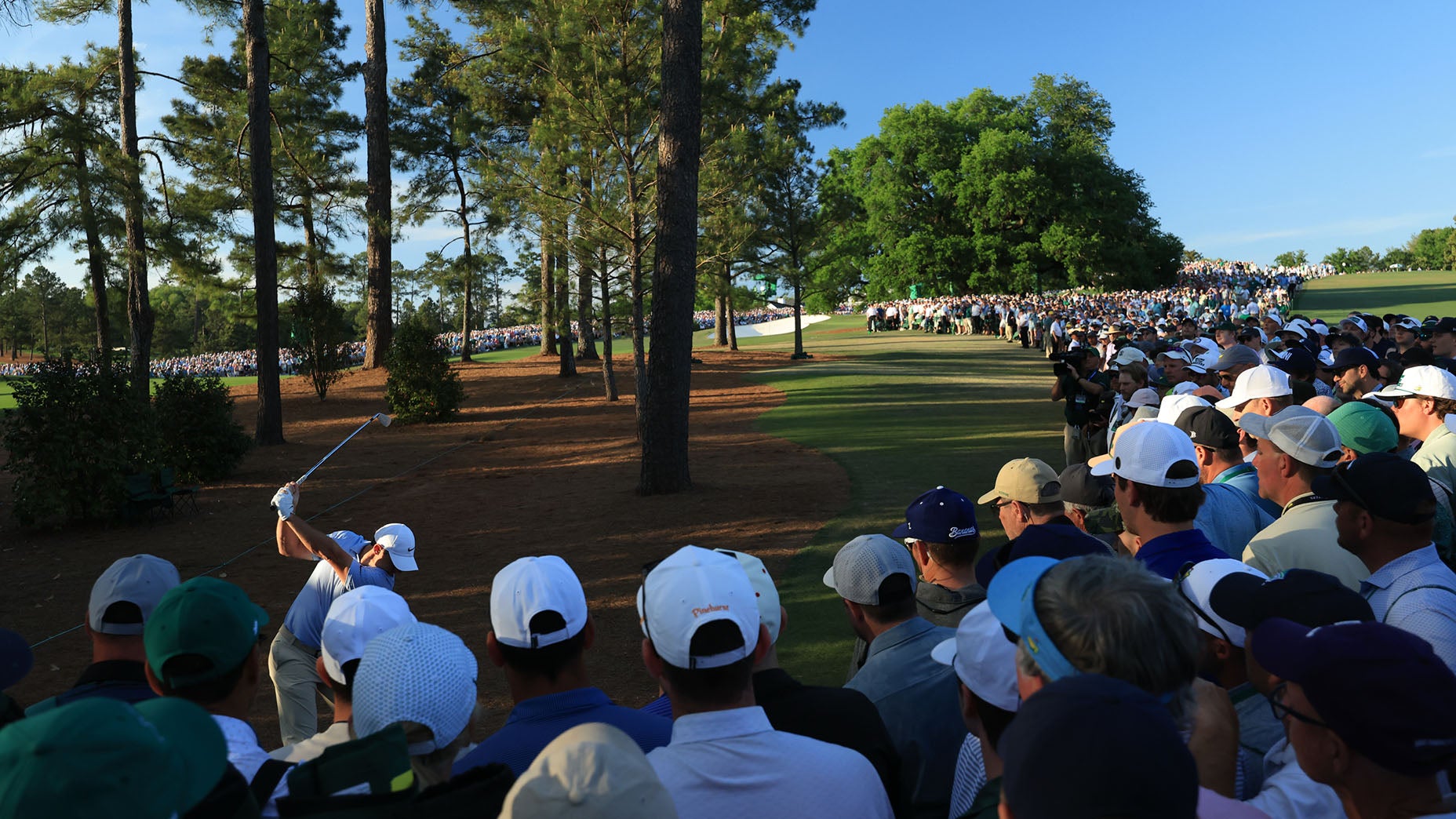 Rory McIlroy swings a club in a wooded area as a large crowd watches, standing closely together under tall pine trees on a sunny day.